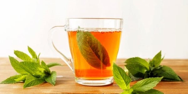 تصویر 5 از خرید و قیمت عرق گیاه پونه + فروش صادراتی